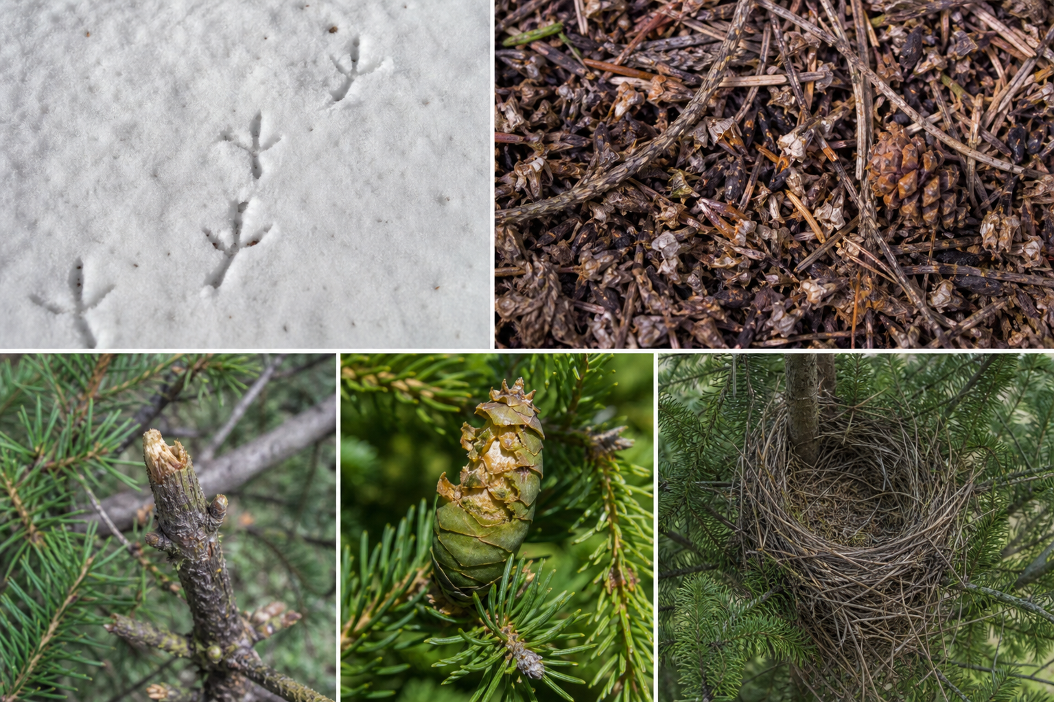 Traces et indices