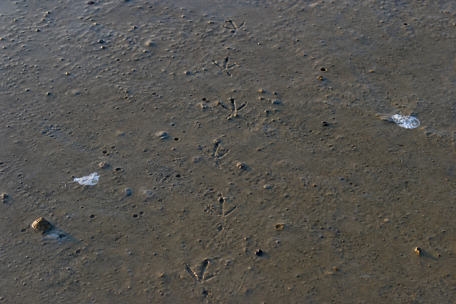 Traces et indices