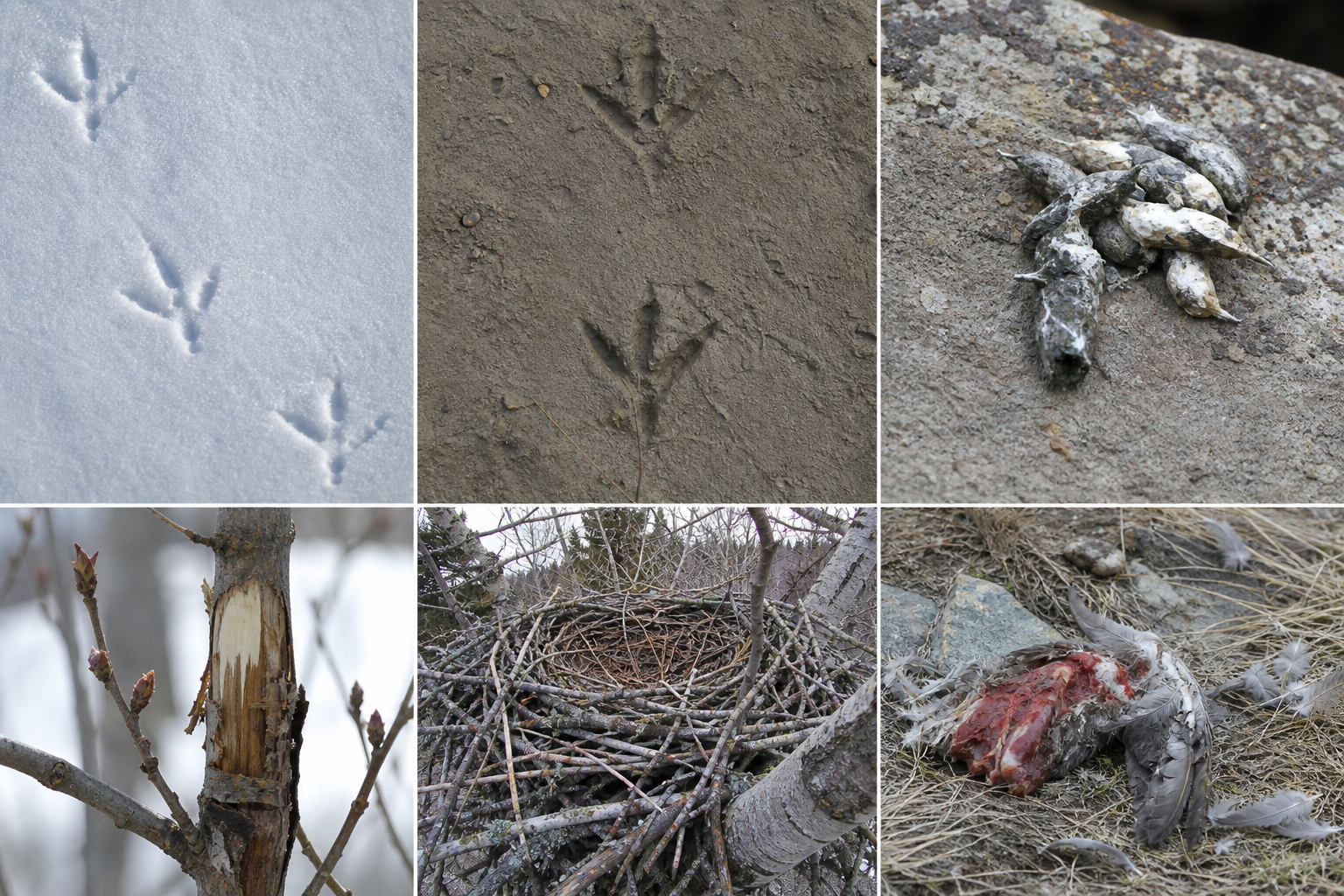 Traces et indices
