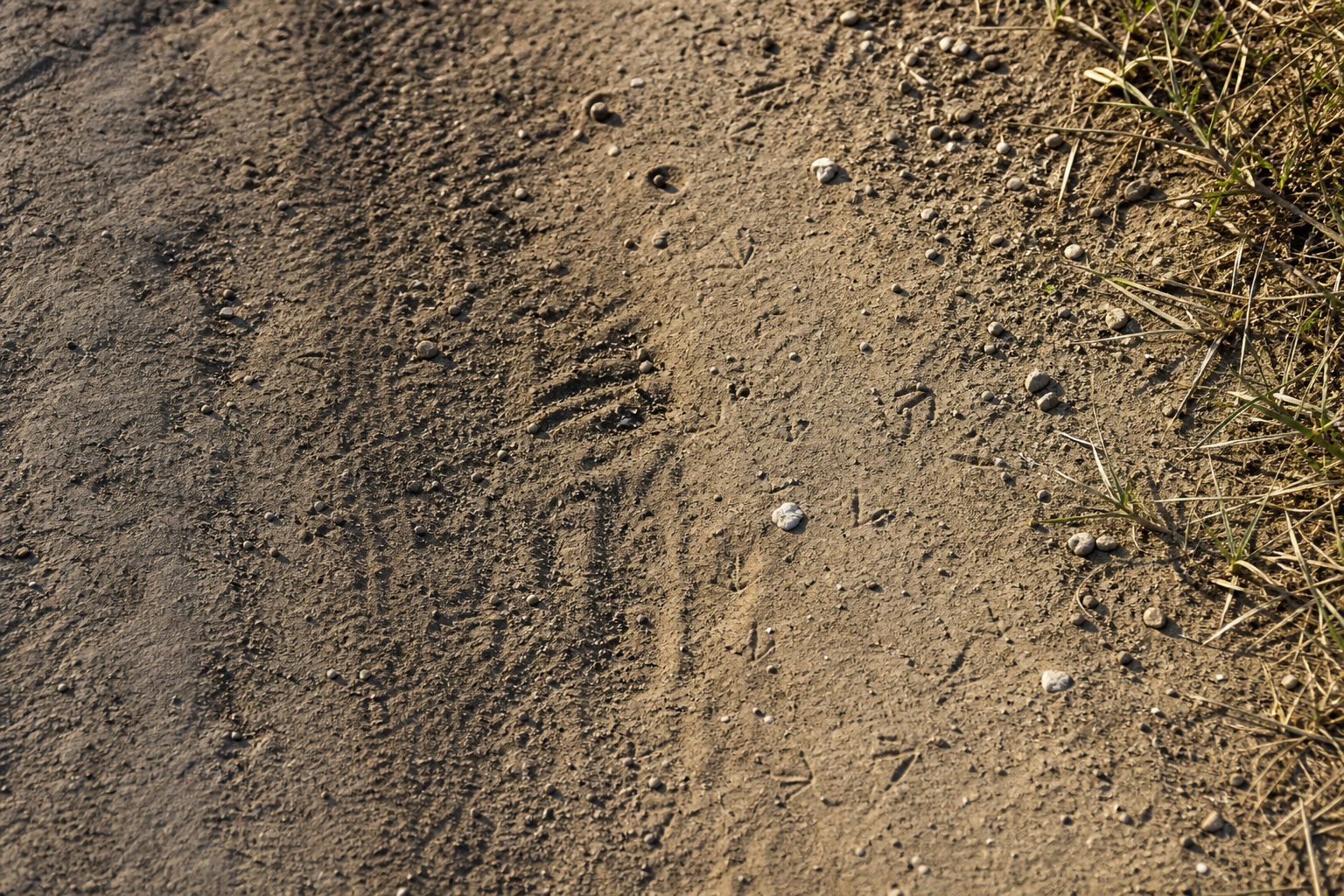Traces et indices