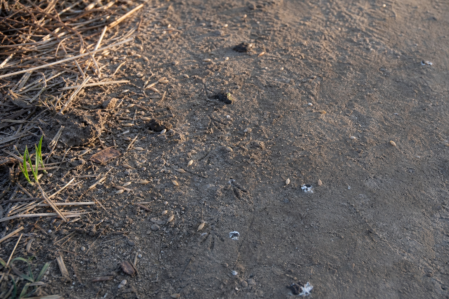 Traces et indices