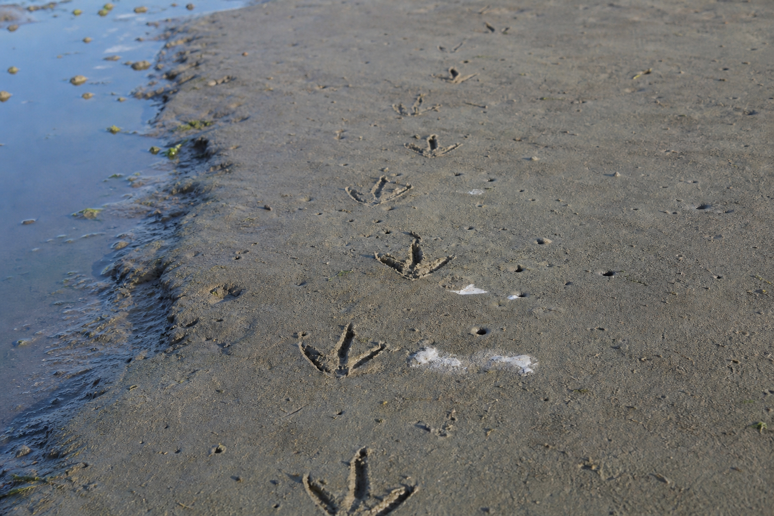 Traces et indices
