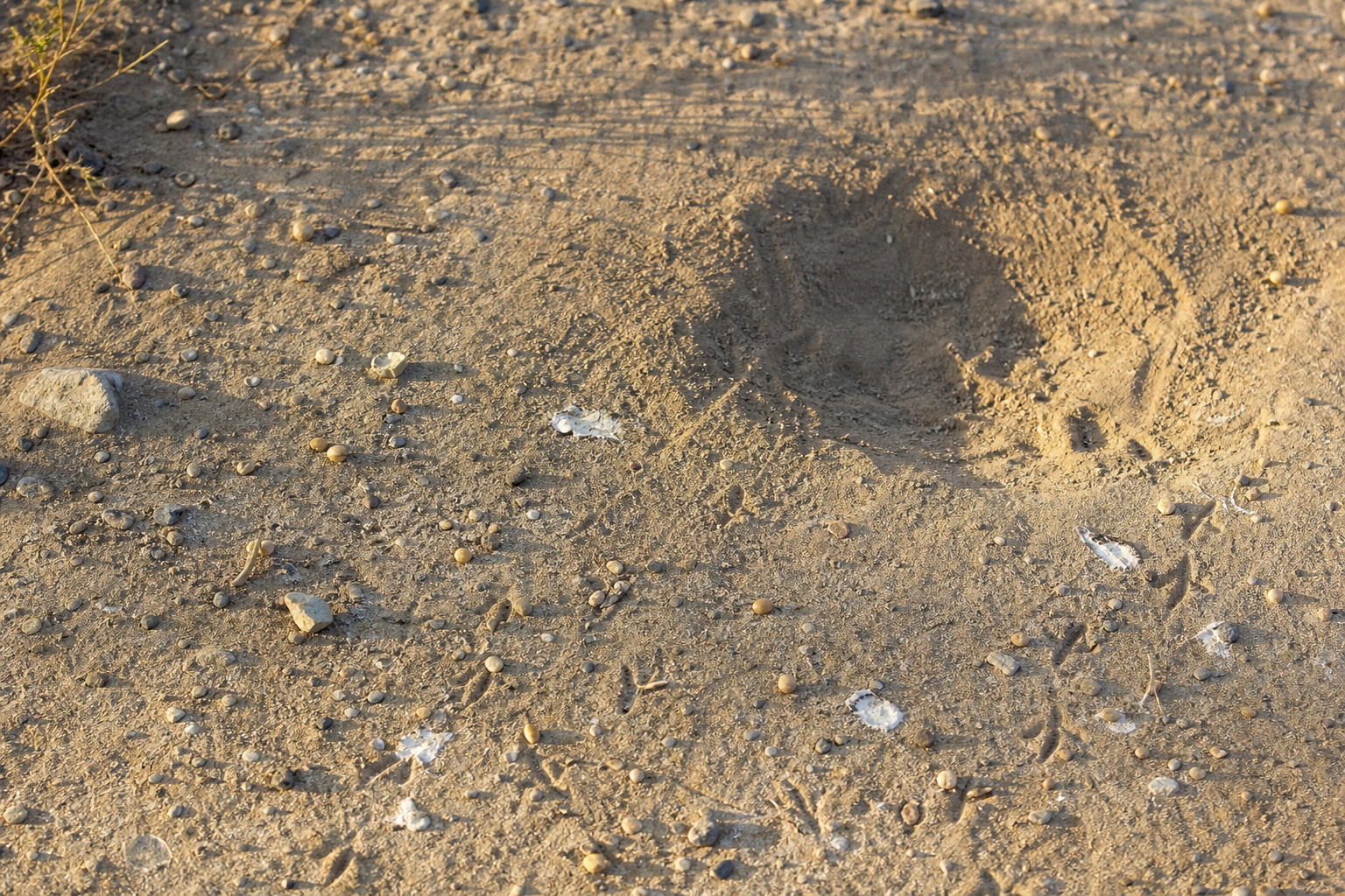 Traces et indices