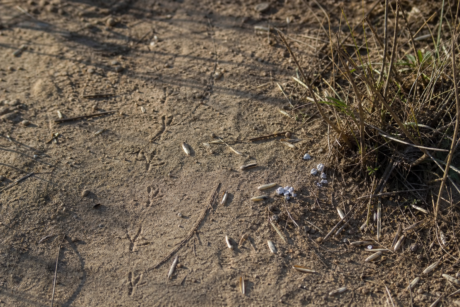 Traces et indices