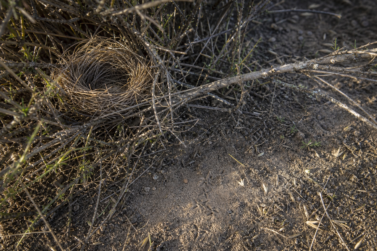Traces et indices