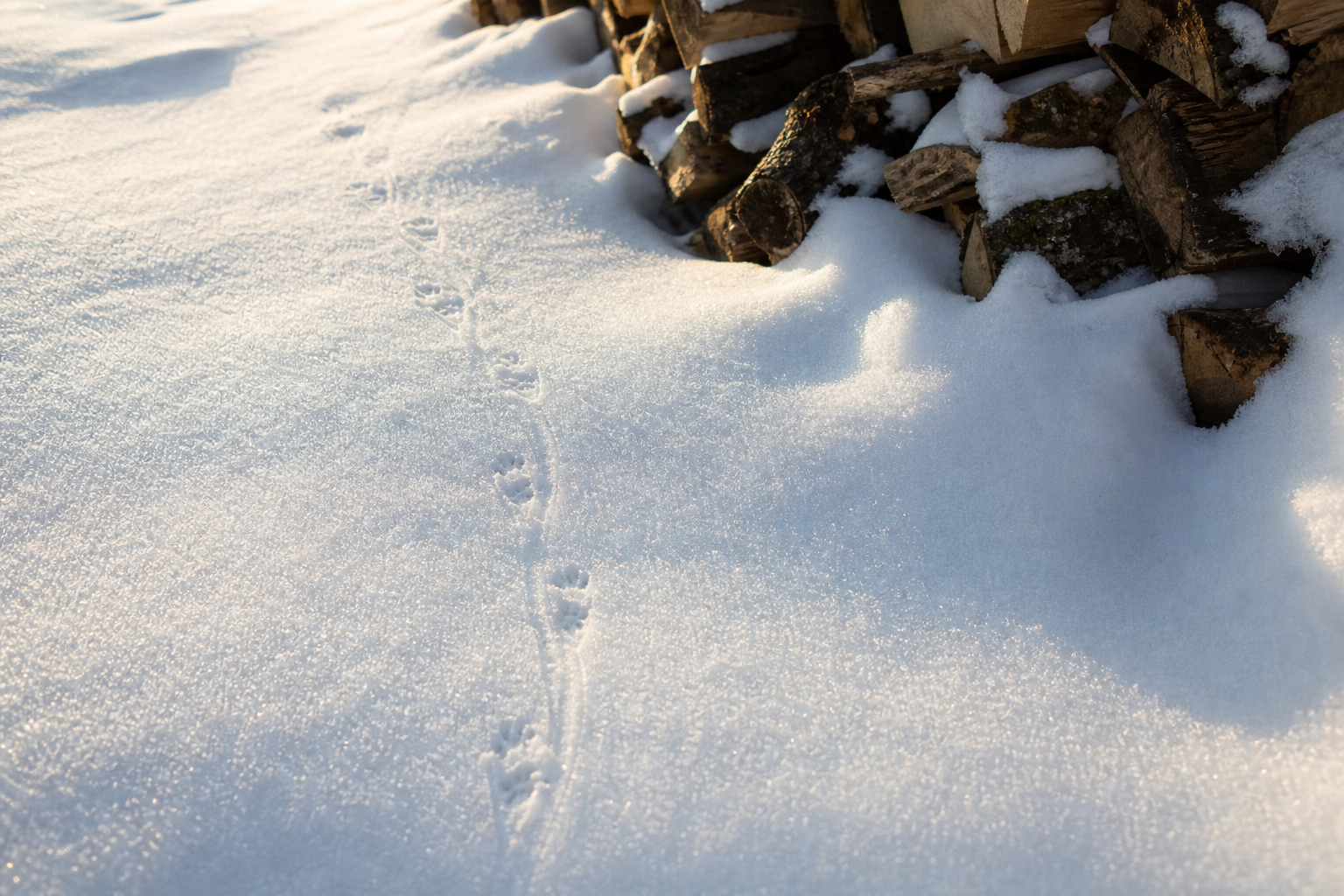 Traces et indices