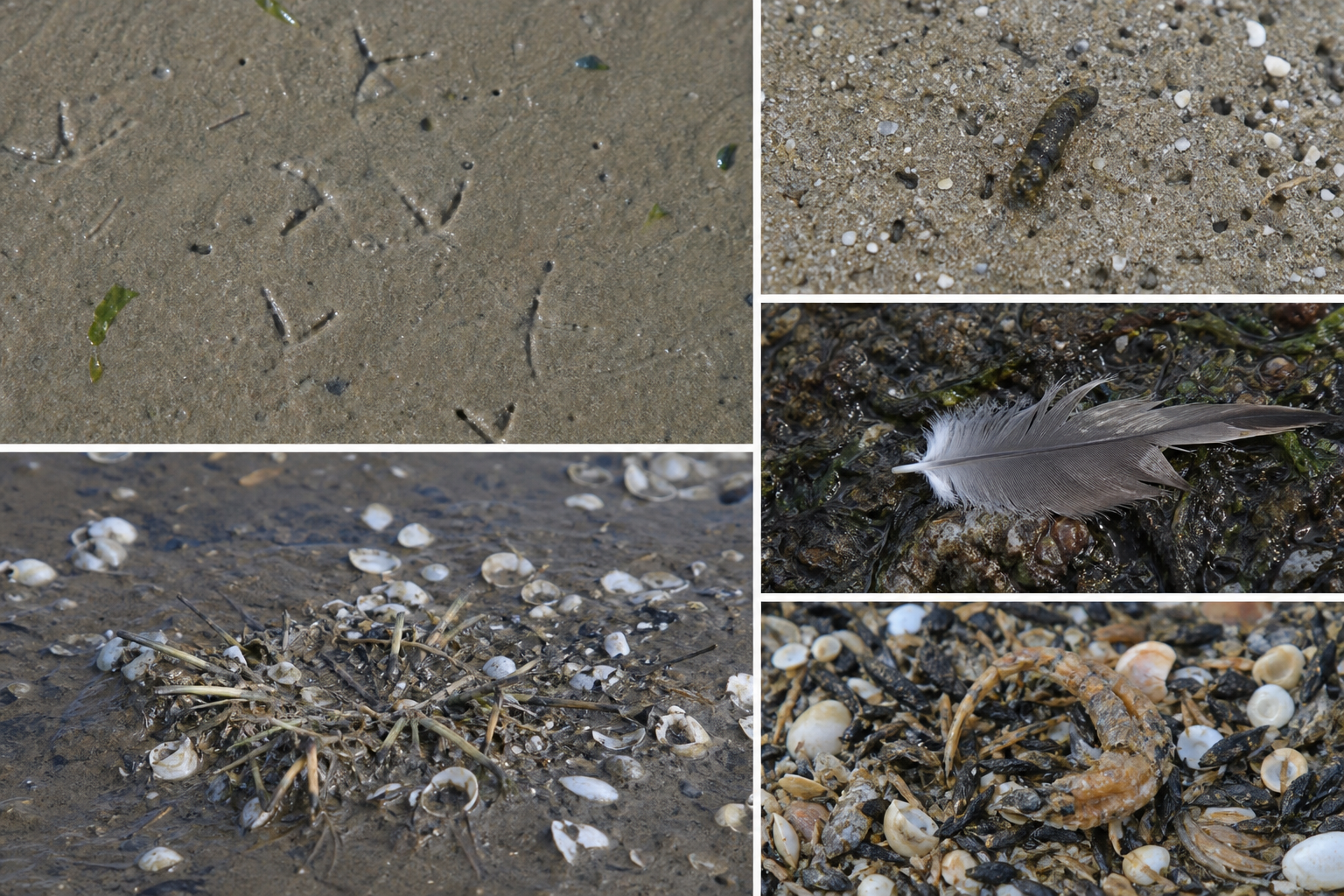 Traces et indices