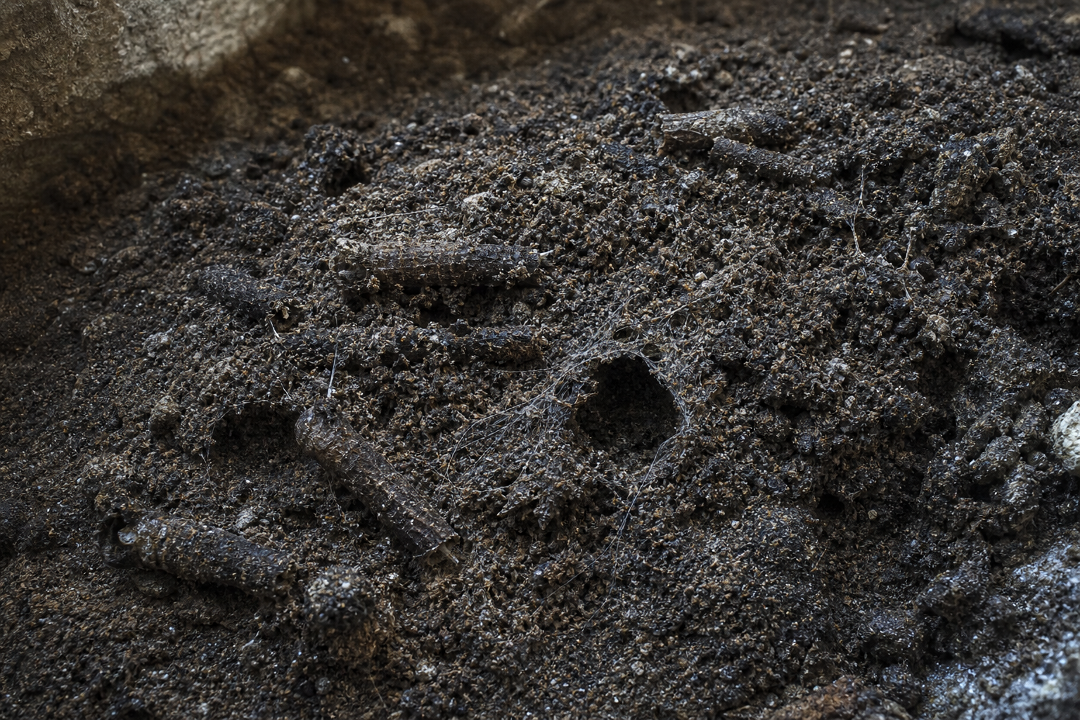 Traces et indices