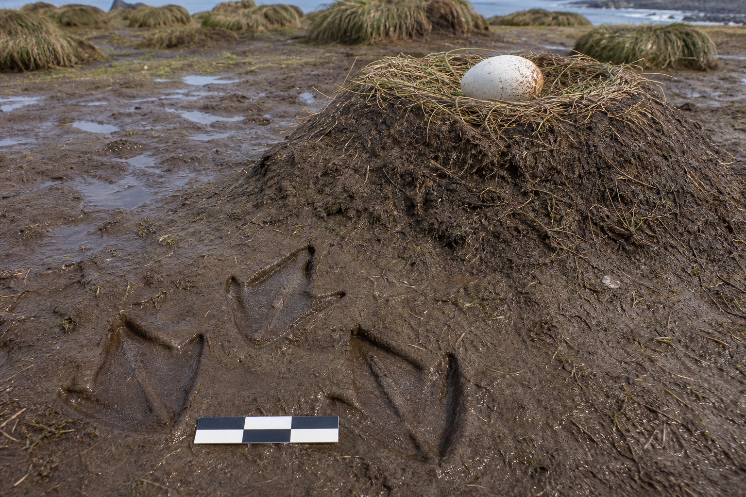 Traces et indices