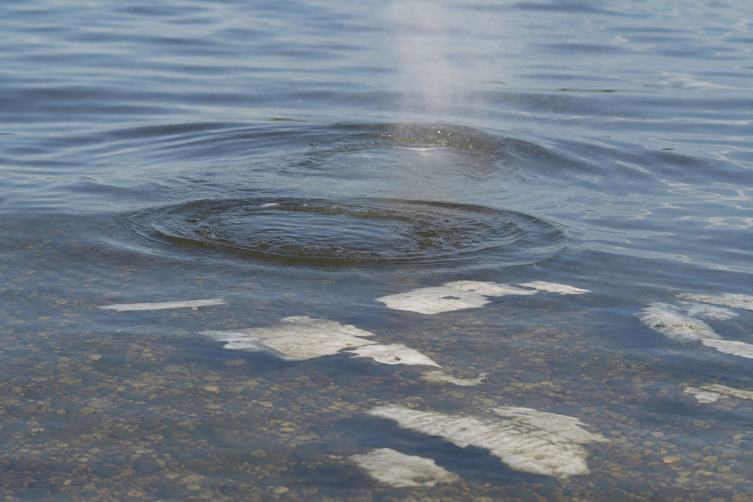 Traces et indices