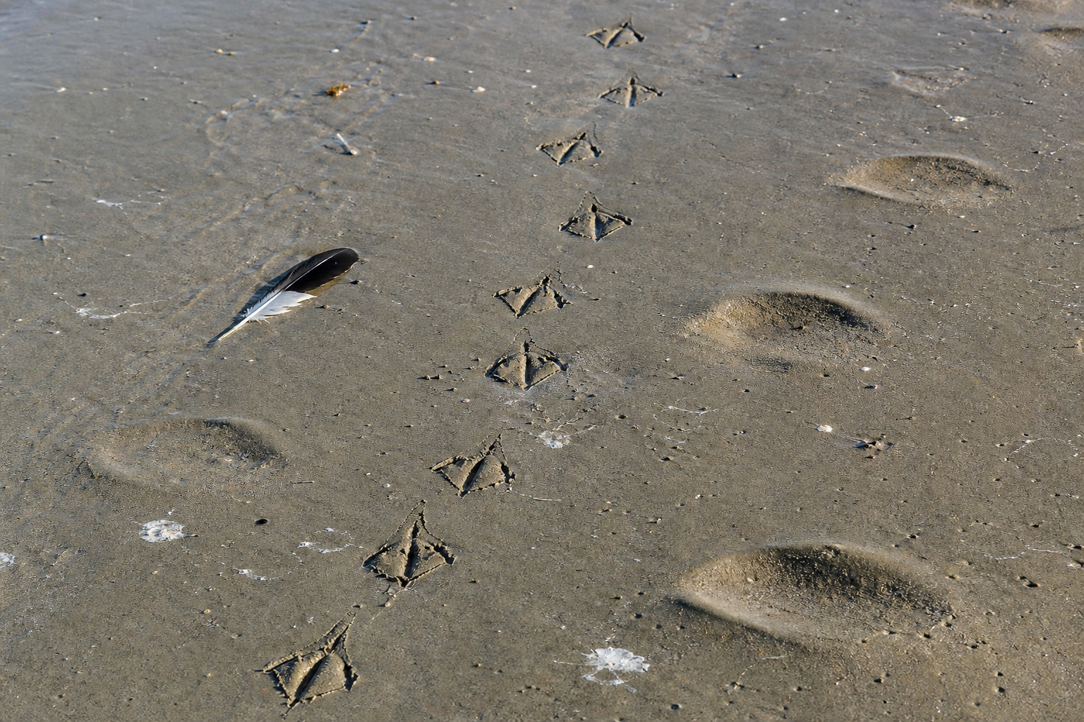 Traces et indices