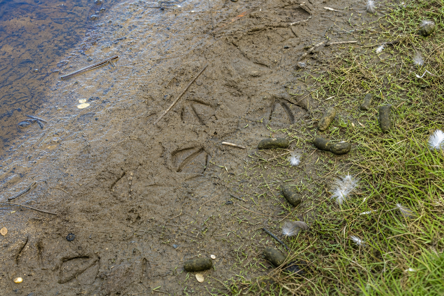 Traces et indices