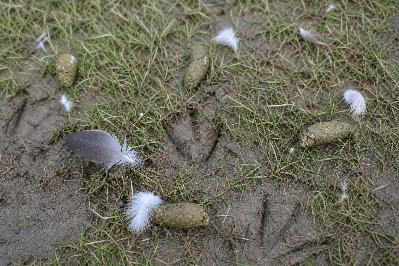 Traces et indices