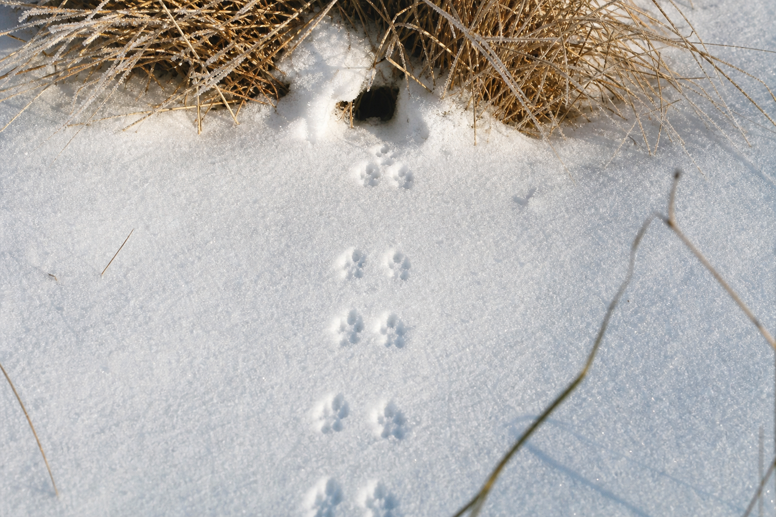 Traces et indices