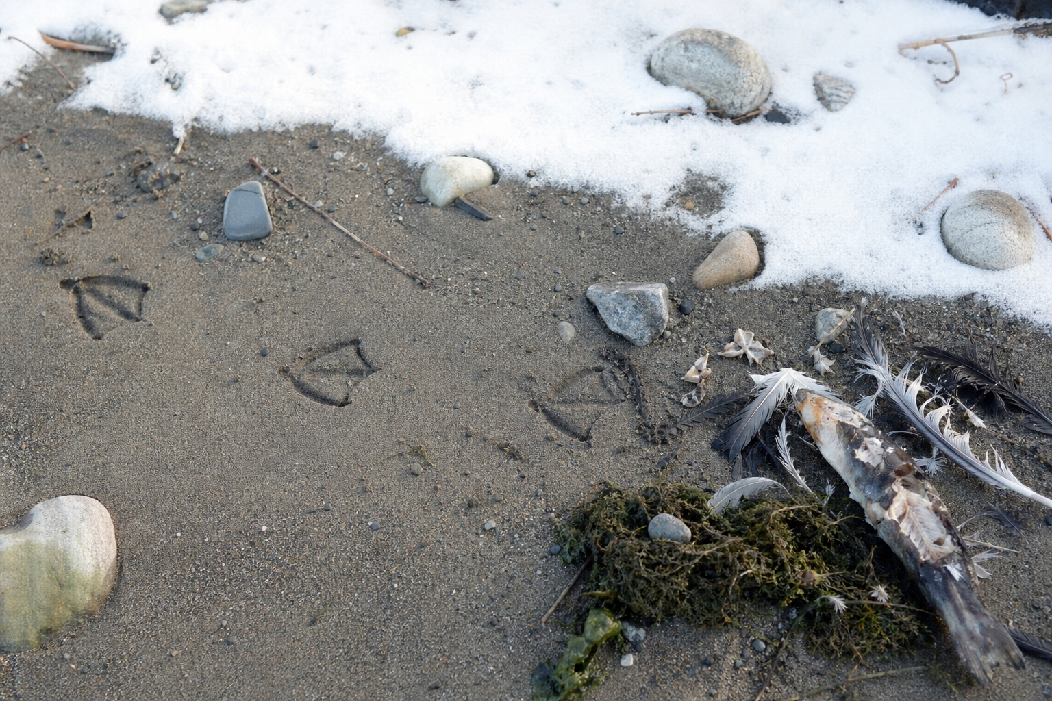 Traces et indices