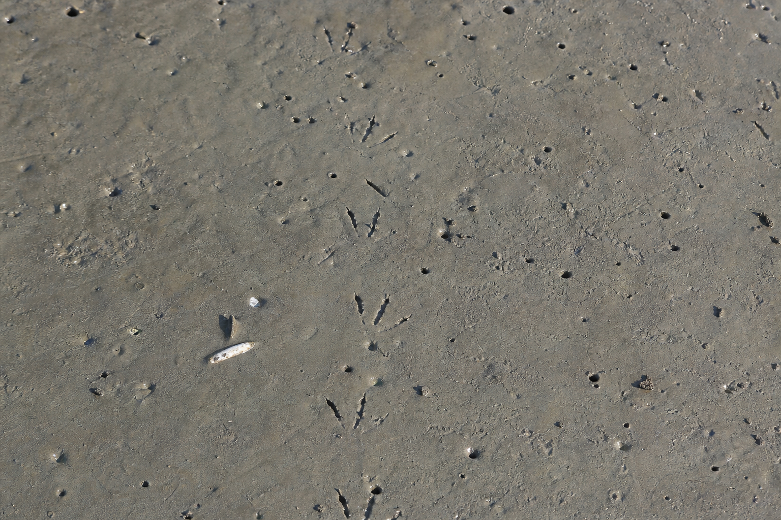 Traces et indices