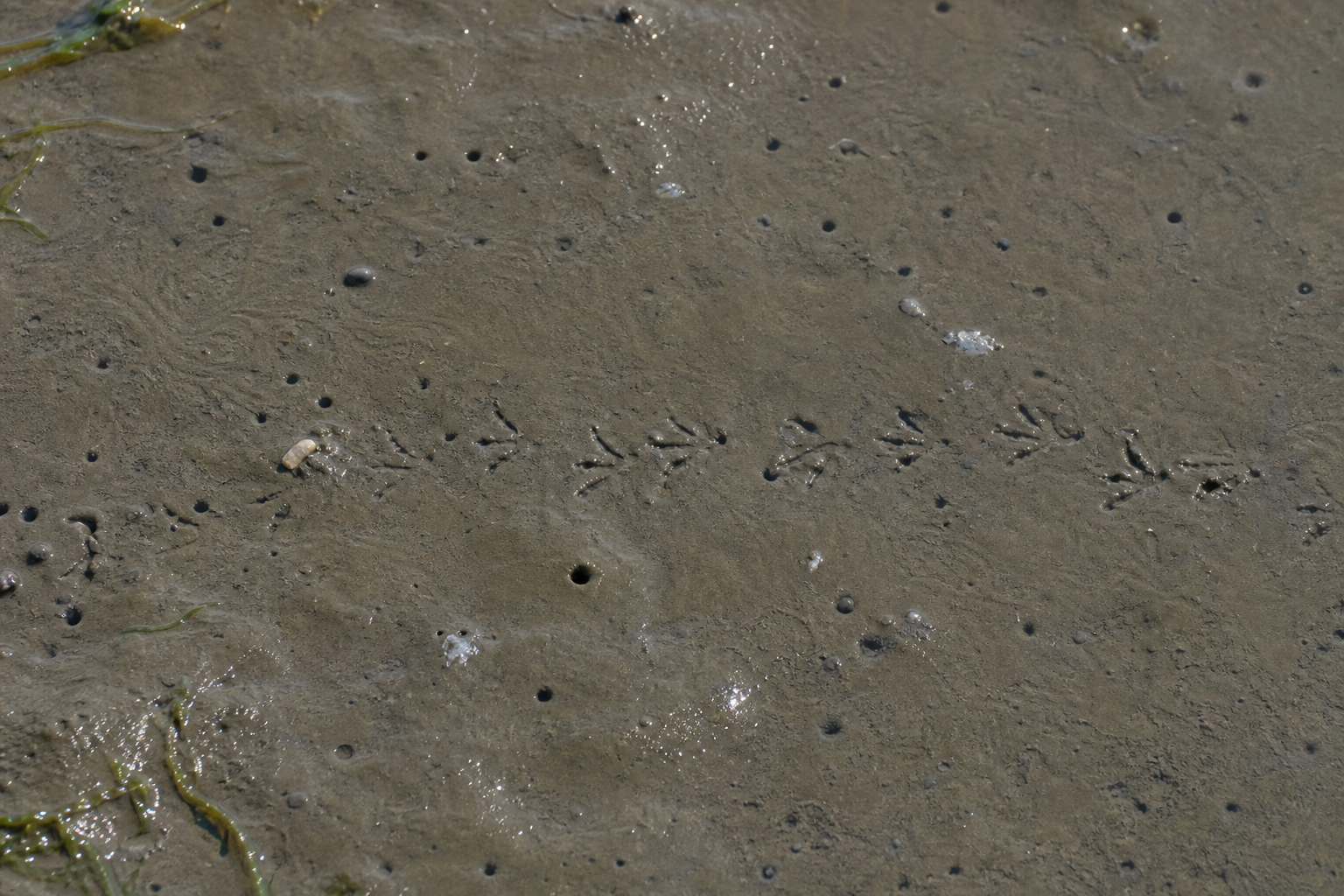 Traces et indices