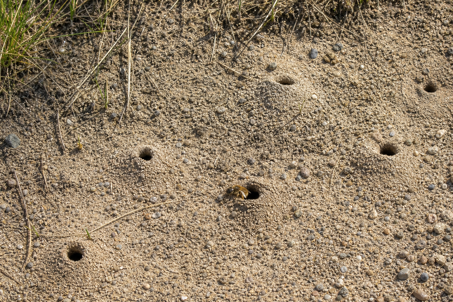 Traces et indices