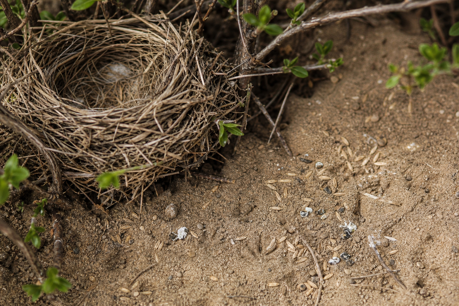 Traces et indices