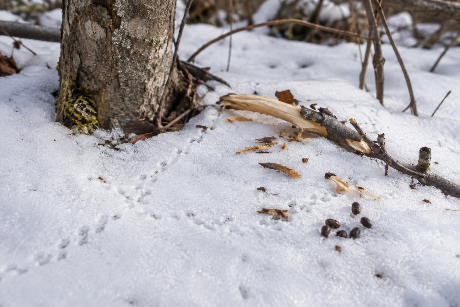 Traces et indices