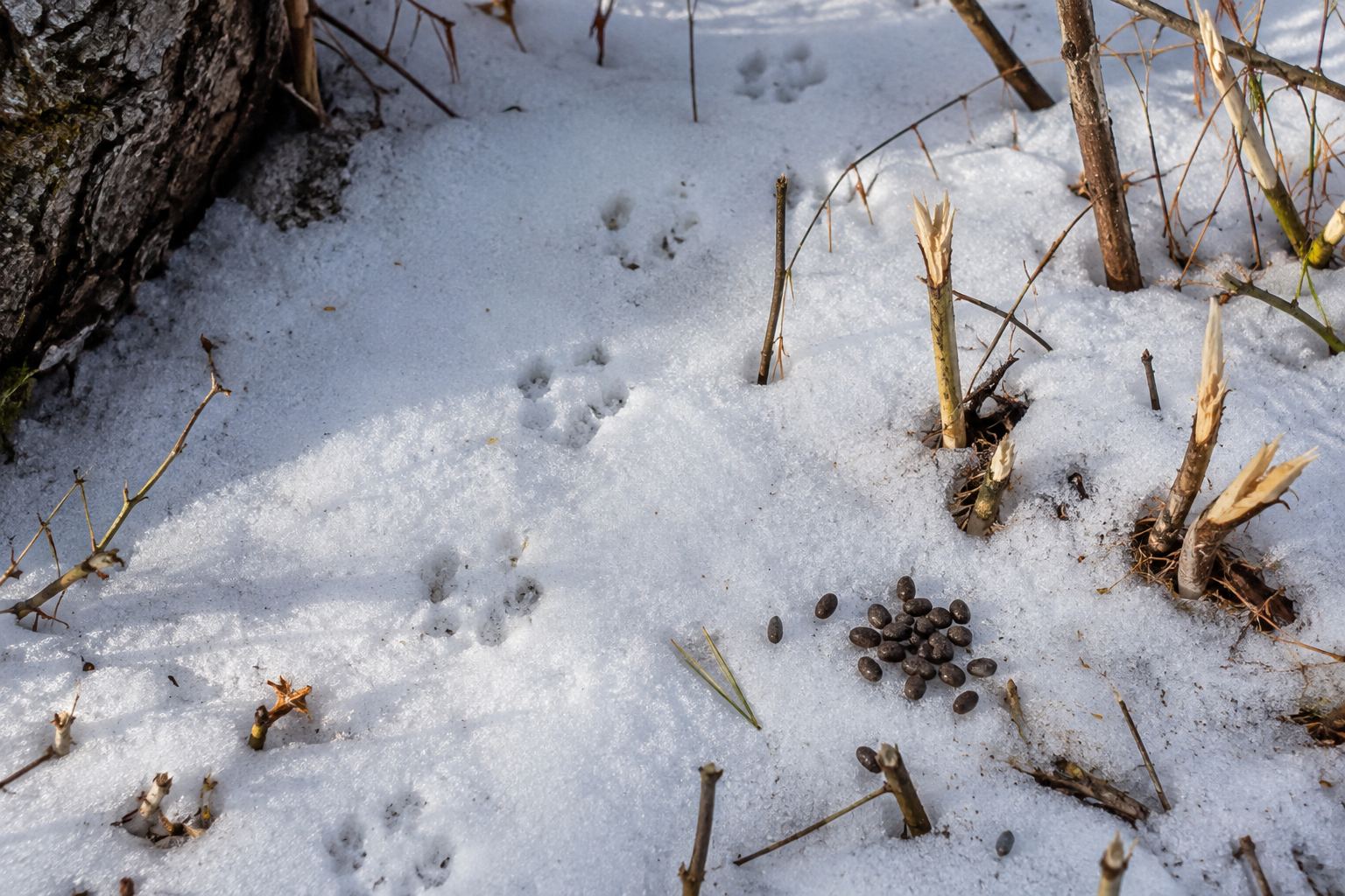 Traces et indices