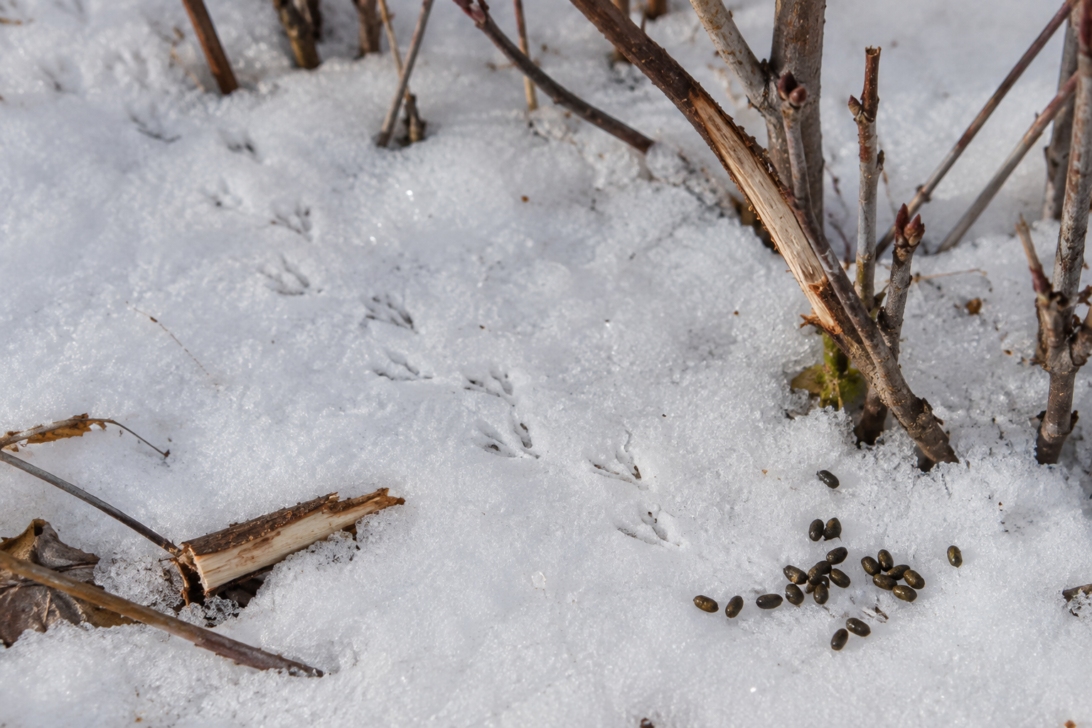 Traces et indices