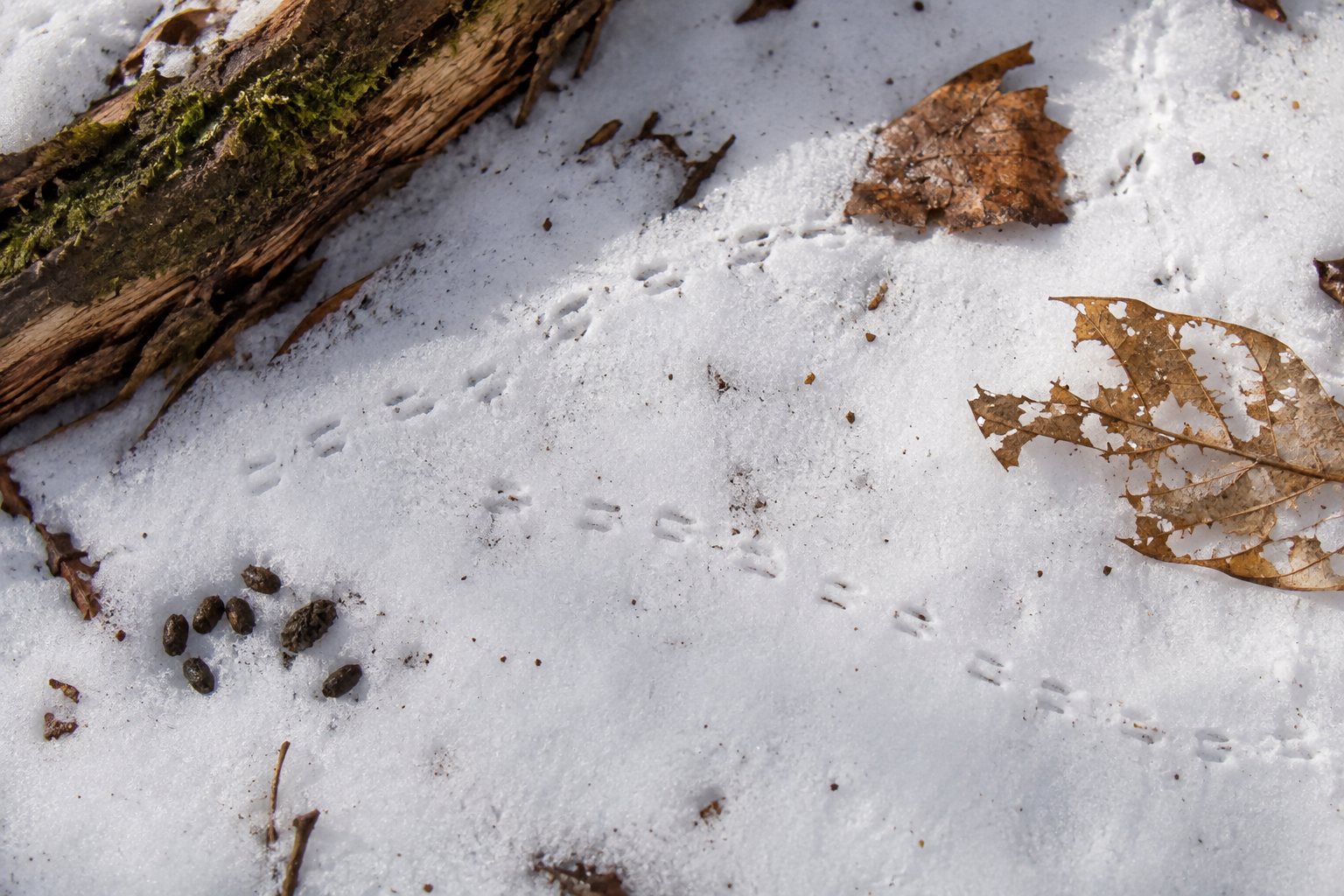 Traces et indices