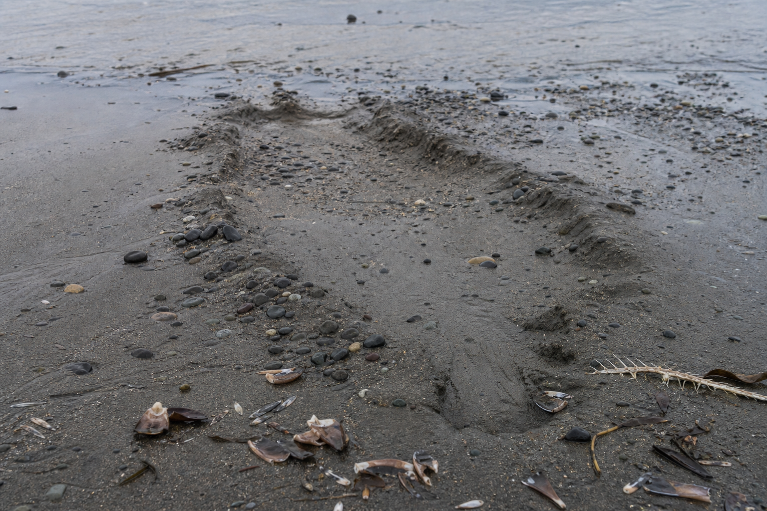 Traces et indices