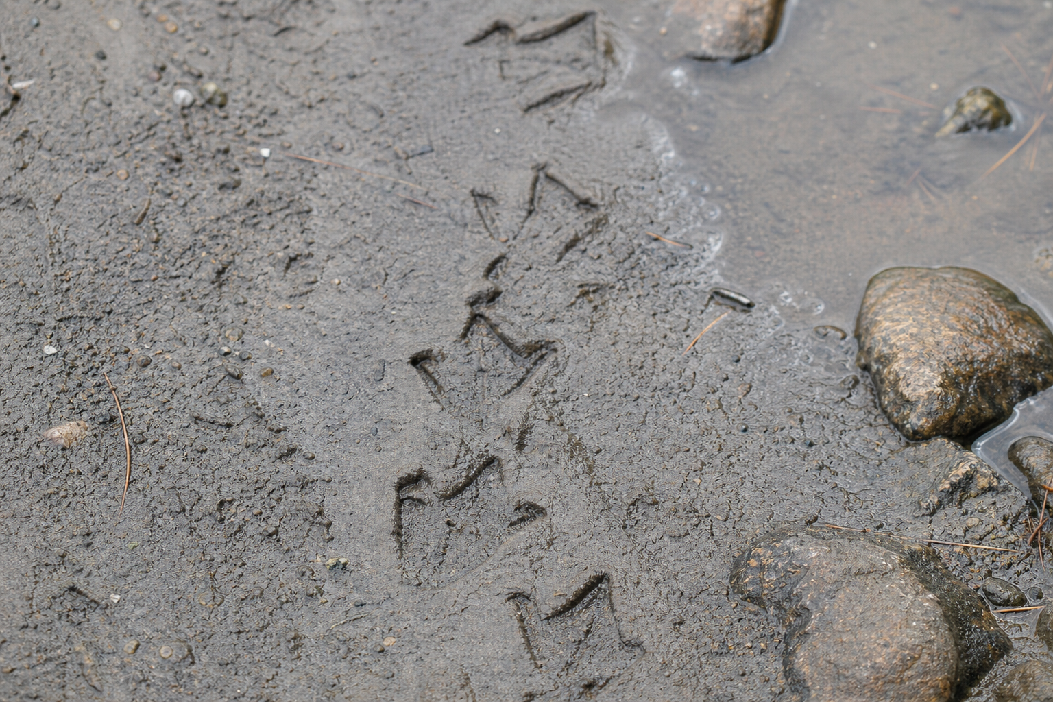 Traces et indices